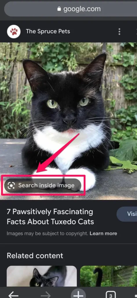 آموزش جستجوی عکس در گوگل